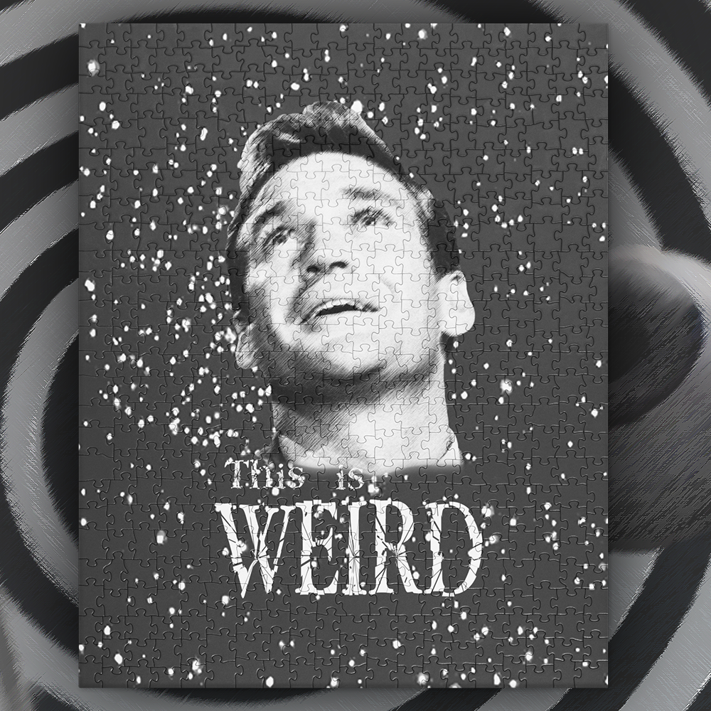 THIS IS A WEIRD - Weird Puzzle