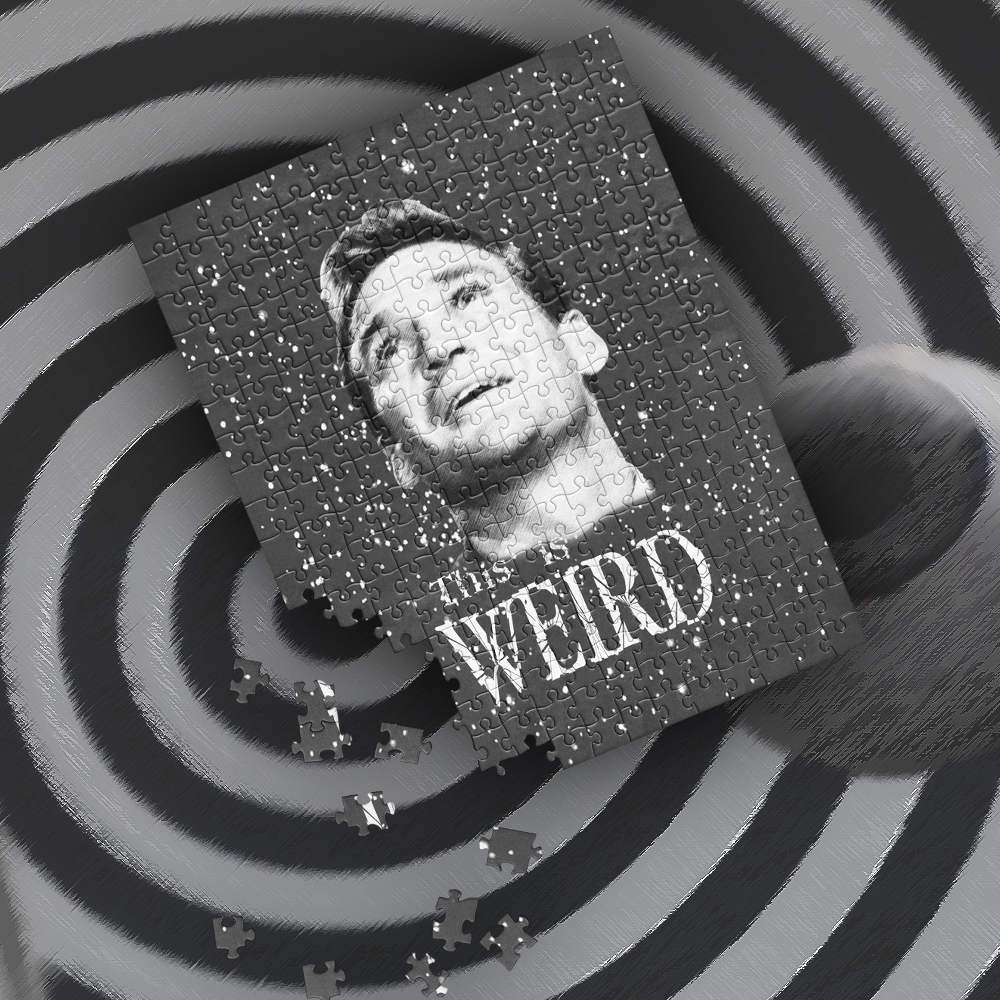 THIS IS A WEIRD - Weird Puzzle